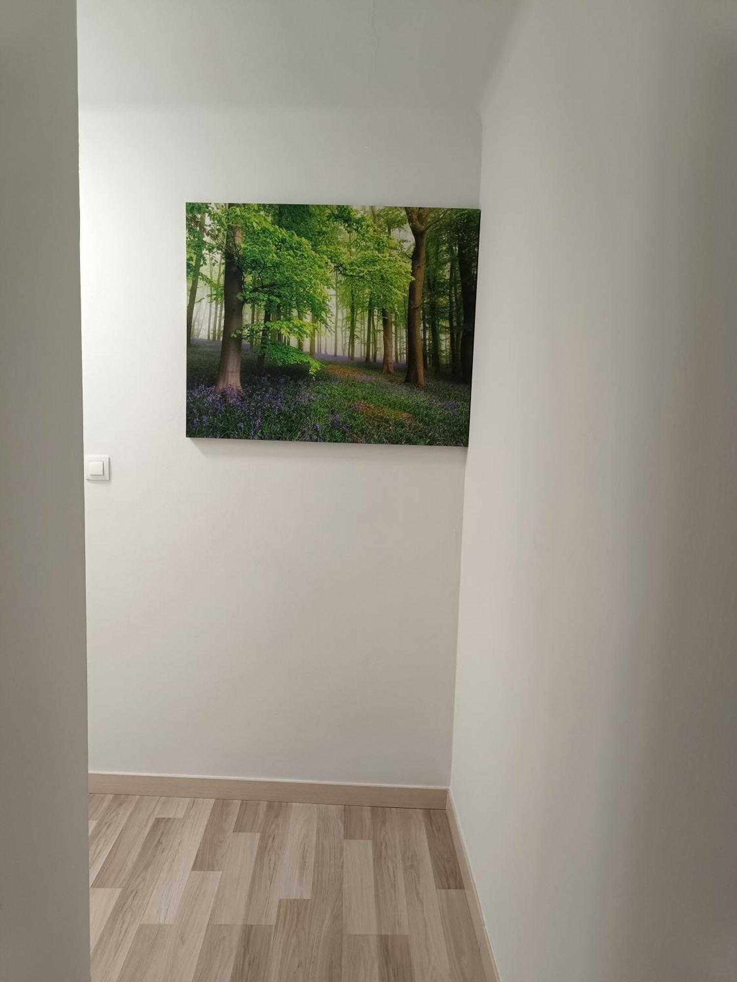 Apartamento Confort I La Seu d'Urgell Exterior foto
